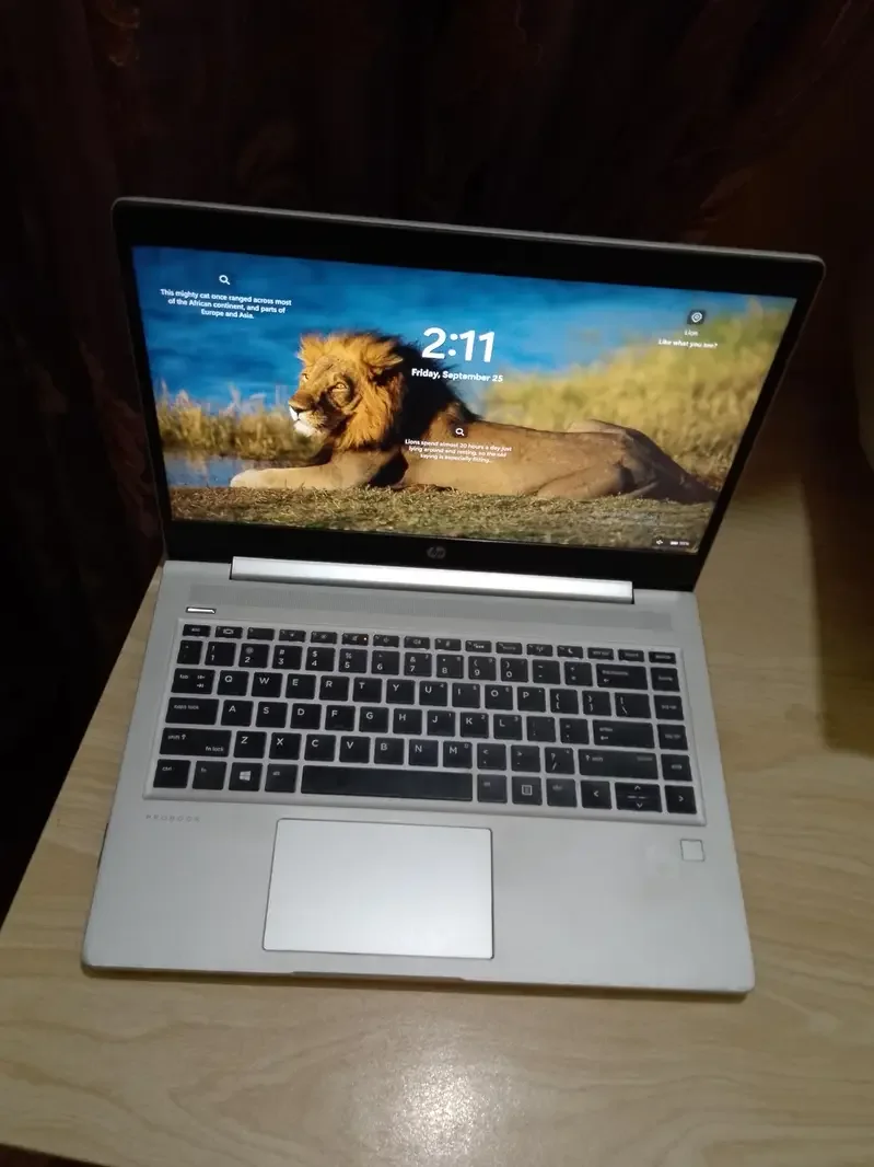 HP ProBook 440 G7 | Core i5 Laptop | 8GB Ram | 256GB | WINDOWS 11